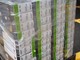 GeForce RTX 5090 炒上近萬美金 Newegg、Amazon 被掃光 市場狀況失控 GeForce RTX 5090 炒上近萬美金 Newegg、Amazon 被掃光 市場狀況失控