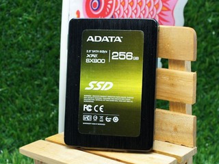 即日起代理ADATA固態硬碟產品 聯強國際將提供更全面售後服務