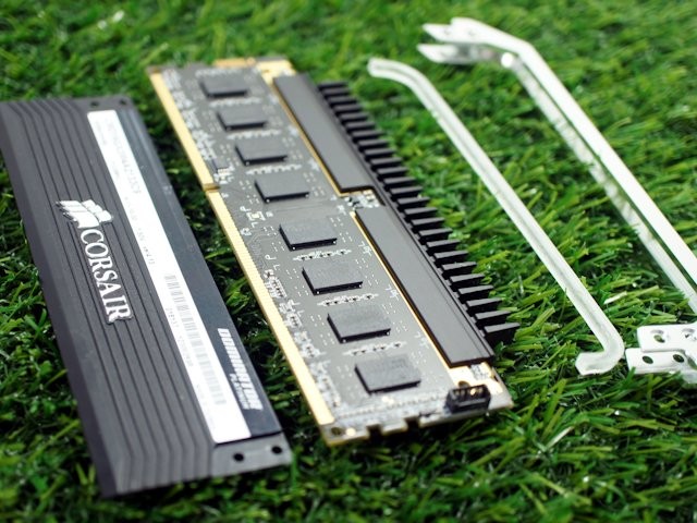 Dominator