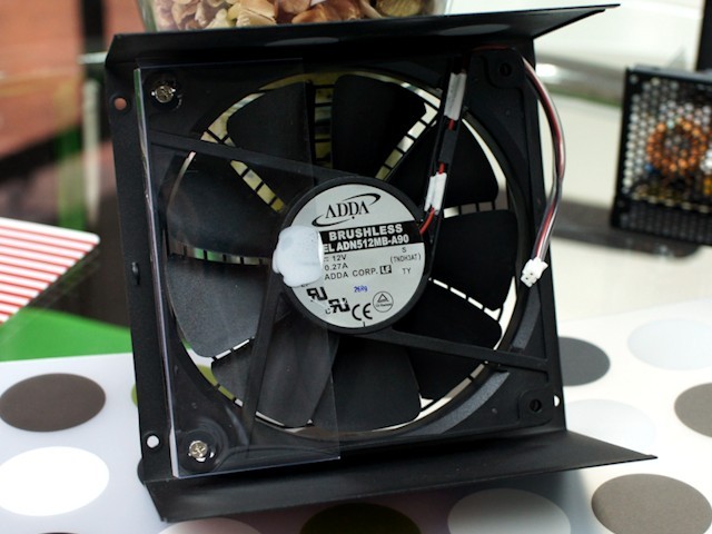 HCG M
