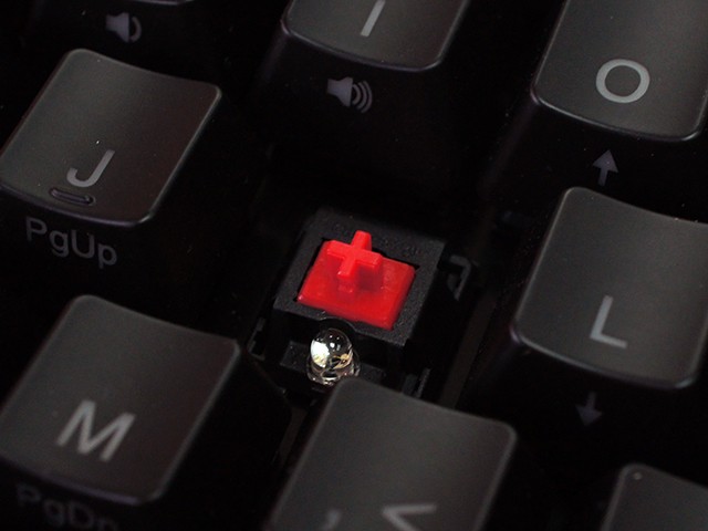 Ducky Mini