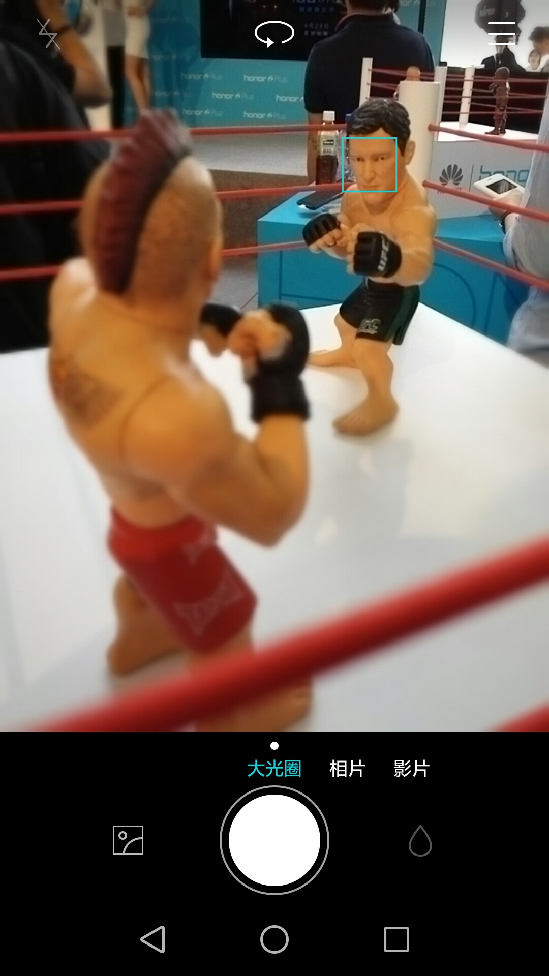 Honor 6+