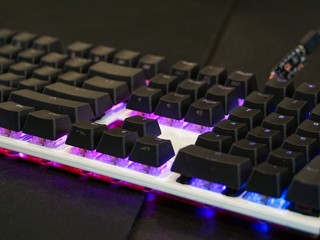 Ducky Shine 5