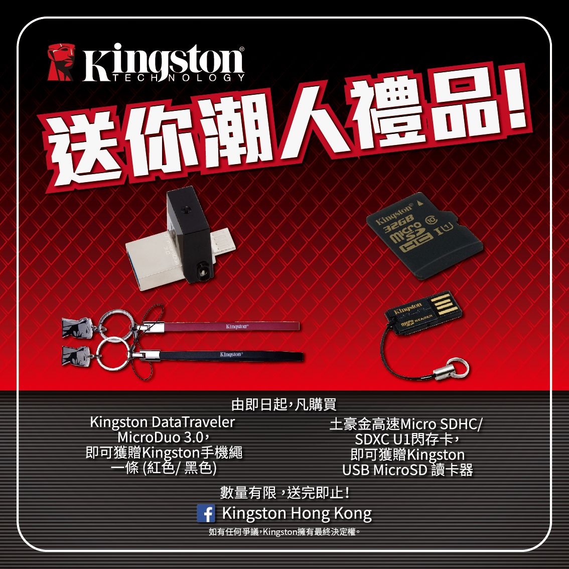 Kingston Summer promotion