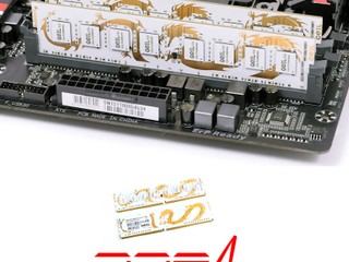 GeIL White Dragon DDR4 記憶體 單條裝 8GB/16GB 全線港澳公開發售 GeIL White Dragon DDR4 記憶體 單條裝 8GB/16GB 全線港澳公開發售