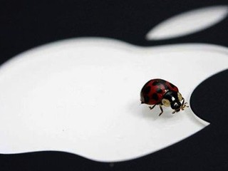 【害怕 Bug 劇重演?!】iOS 13 多 Bug 惹果粉不爽 Apple 將大改 iOS 14 開發方式