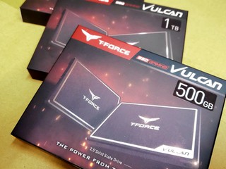 【腦場掃地僧 ㊙️】3D TLC、3 年保 TEAM T-Force Vulcan 1TB 2.5