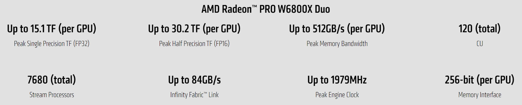 Radeon Pro W6000X