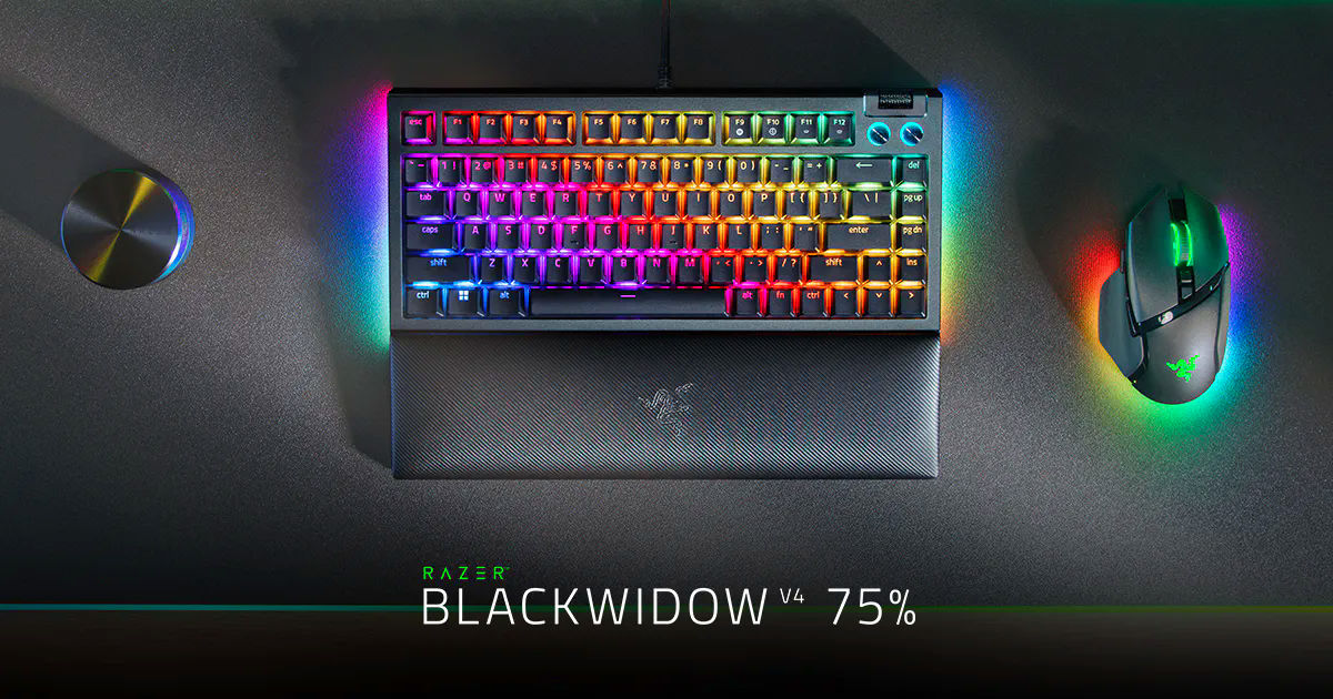 BlackWidow V4 75%