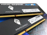 A Die 顆粒 !! 超高性價比 ANACOMDA 黑蛇王 D5-5600 64GB Kit