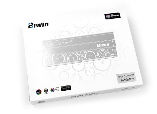 BIWIN DW100