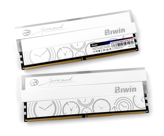 BIWIN DW100