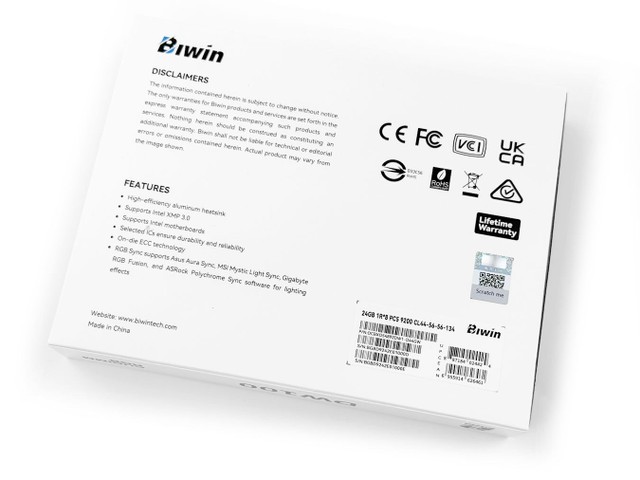 BIWIN DW100