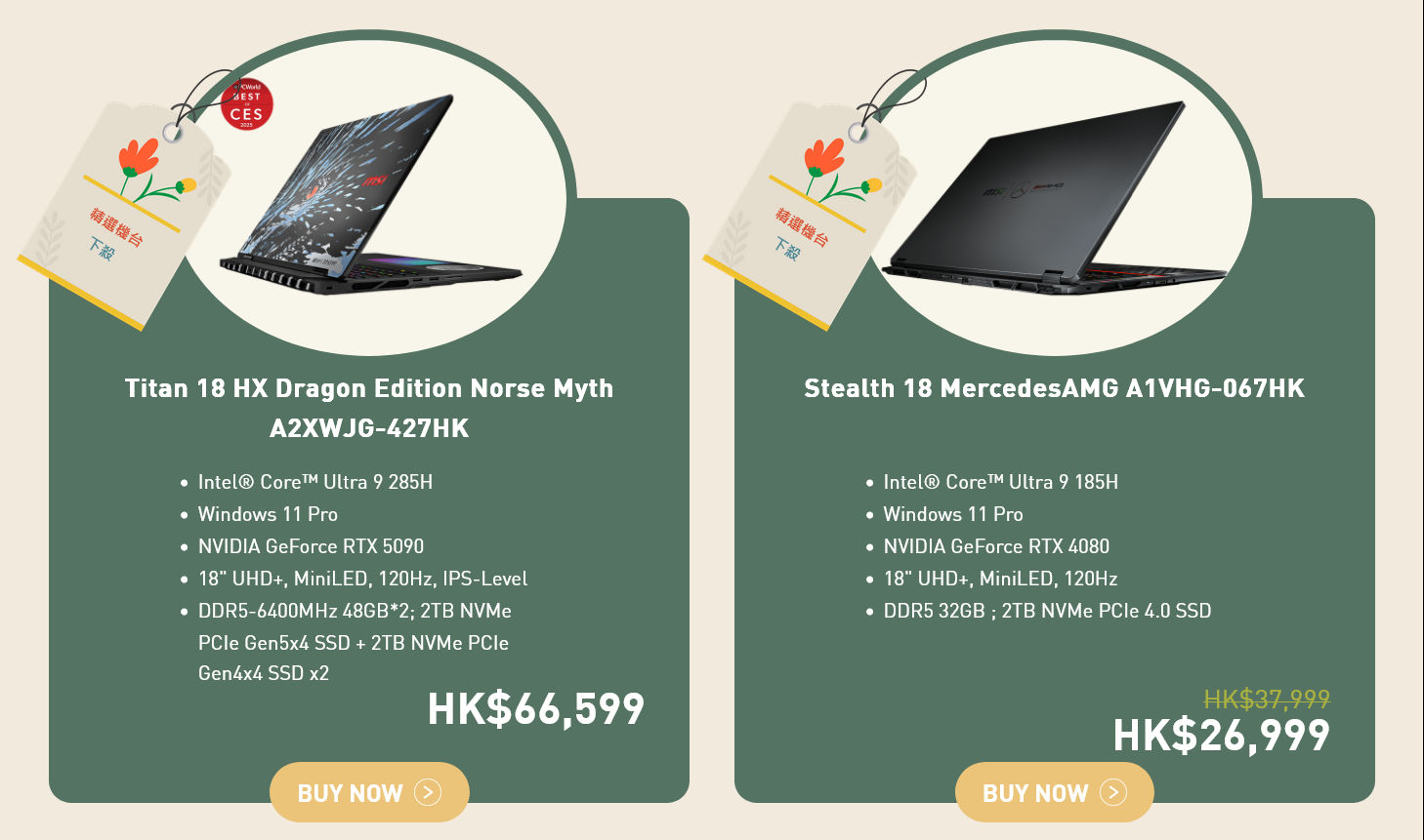 MSI Spring Promo
