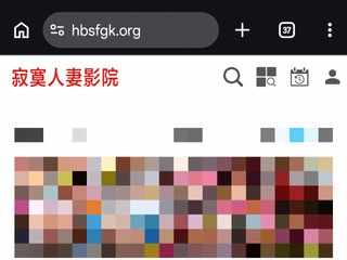 河北法院慘變「寂寞人妻影院」 忘記網域續費  被搶走後變成色情網站