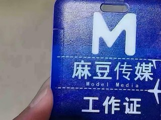「麻豆傳媒」突宣布停止營運 中國「愛情及動作片」龍頭    不敵盜版侵權