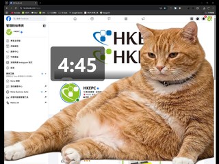 Cat Gatekeeper 瀏覽器擴充工具 強迫你休息的插件   肥橘貓出來霸屏