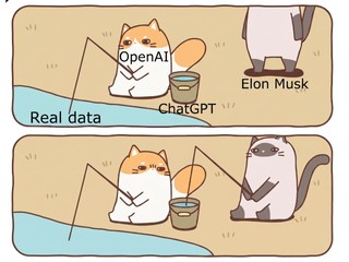 Elon Musk 在聽證會上公開承認 xAI 曾用 OpenAI 模型「蒸餾」訓練