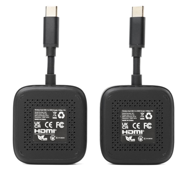 MINIX B21 2-to-1 Wireless Displa