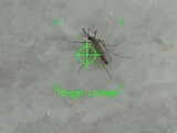 訓練四個月的「AI 終極滅蚊器」 能精準鎖定位置 Laser 瞬間擊斃蚊蟲