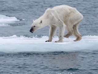 研究發現海平面上升真正主因 海水熱膨脹 減少溫室氣體排放也沒用