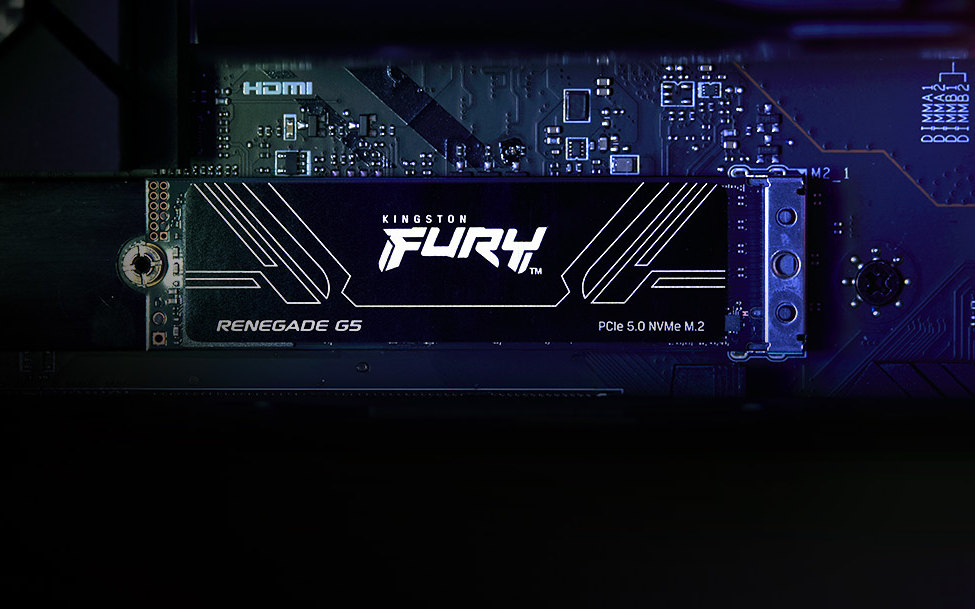 Kingston FURY Renegade G5