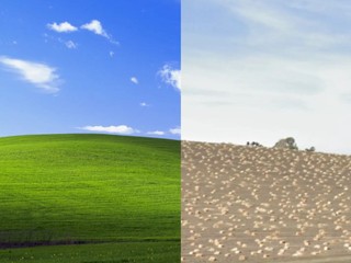 Windows XP 桌布迎來 30 週年 蟲害造就翠綠山丘   現在已變回葡萄園