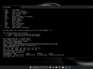 微軟為 AI 開發者推出 Win11 精簡版 系統要求最少 64GB RAM、250GB/s 頻寬