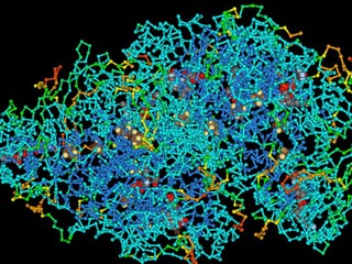 愛爾蘭研發「DNA 分子電腦」 完成 100-bit 複雜運算    過程完全零耗電